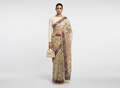 Firozi Resham Aari Embroidered Organza Saree