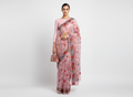 Firozi Resham Aari Embroidered Organza Saree
